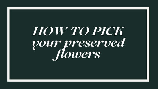How to Choose the Right Preserved Flower Composition