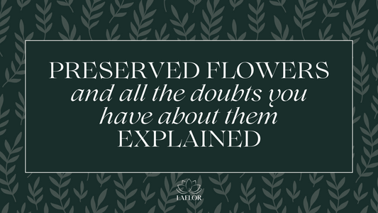 Preserved Flowers Explained – Price, Durability & Advantages