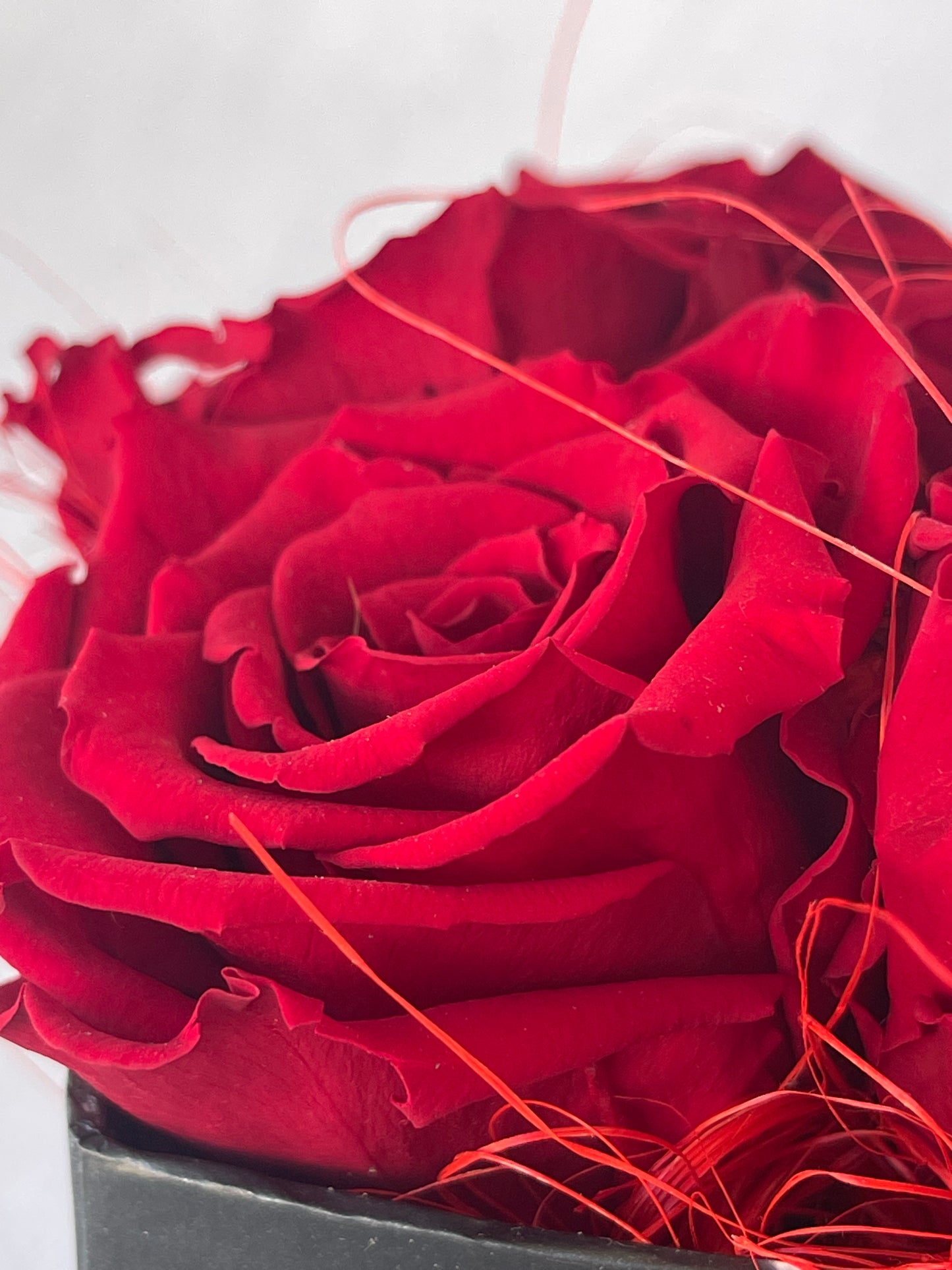 Caja de flores Dojran