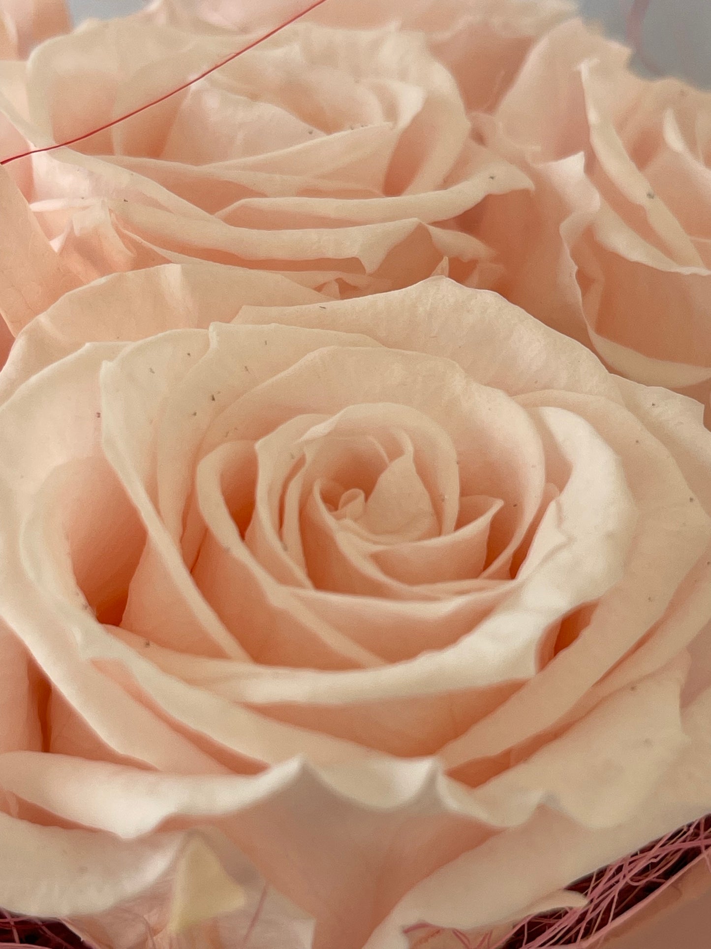 Caja de flores Alacol