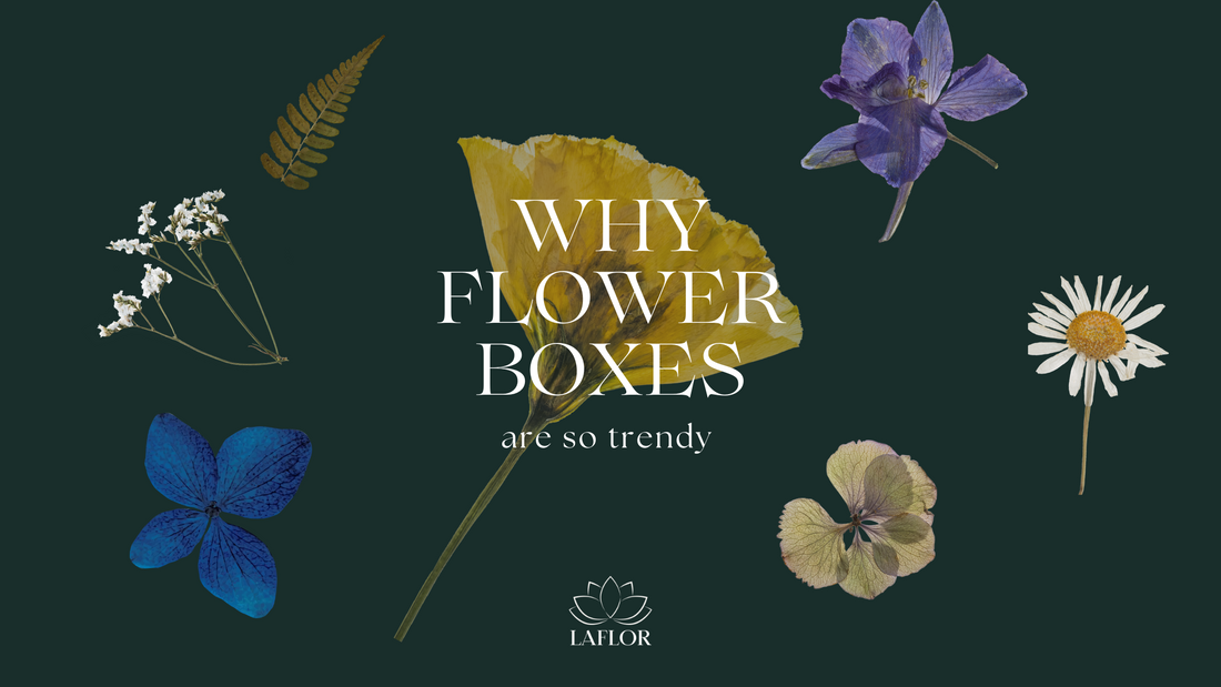 why flower boxes are so trendy