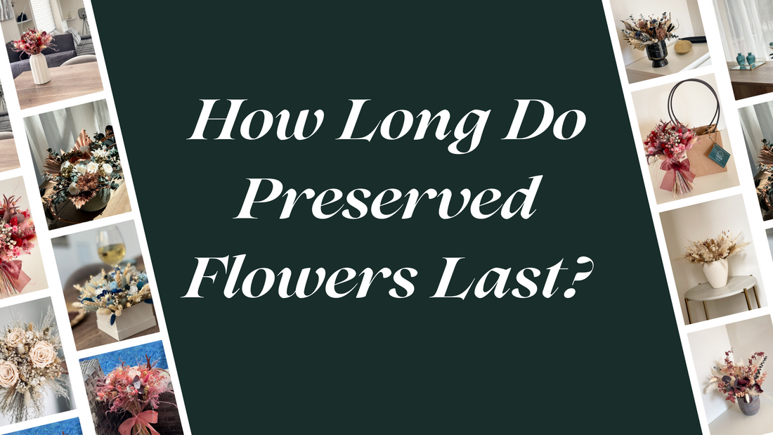 How Long Do Preserved Flowers Last?