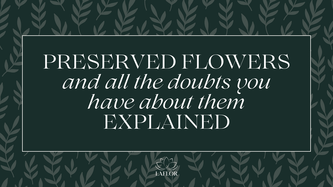 Preserved Flowers Explained – Price, Durability & Advantages