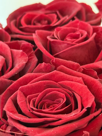 Caja de flores esmeralda